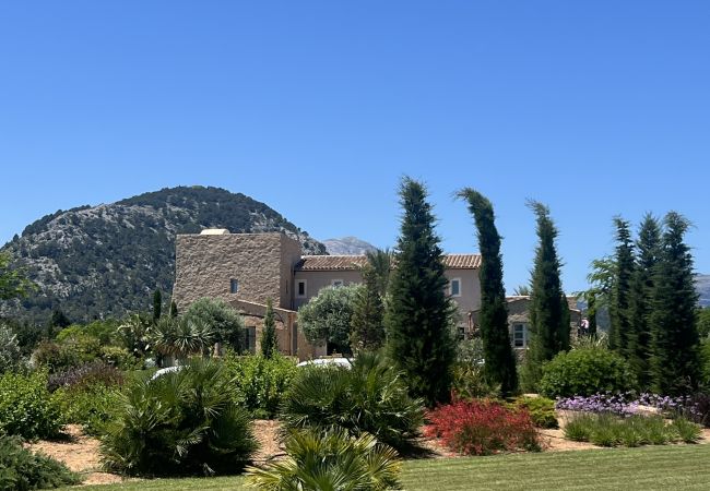 Villa in Pollensa - Finca Agata Villa in Pollensa - Finca Agata