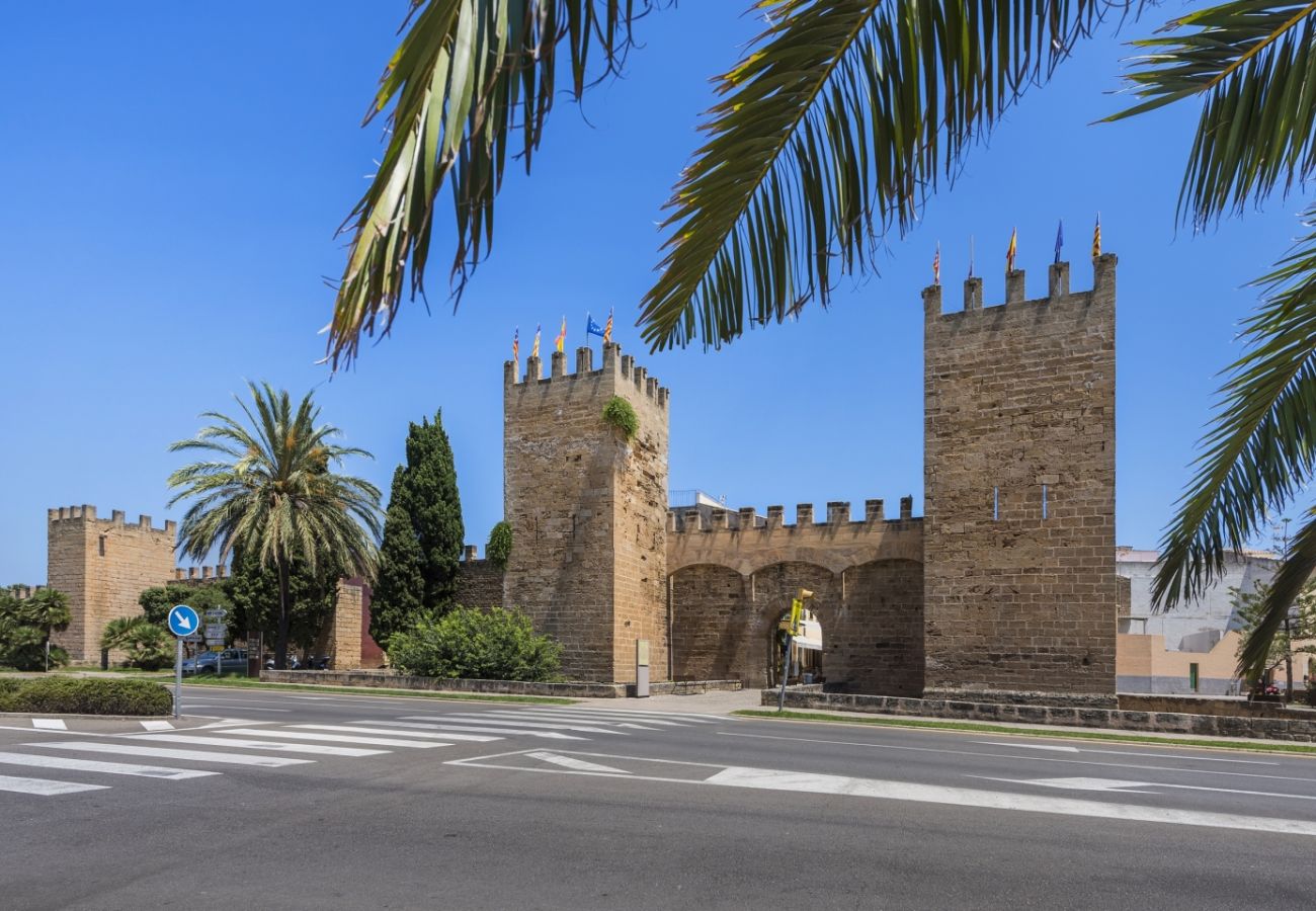 Villa in Alcudia - Can Segue