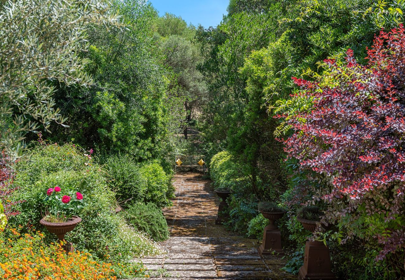 Villa in Pollensa - Finca Caro