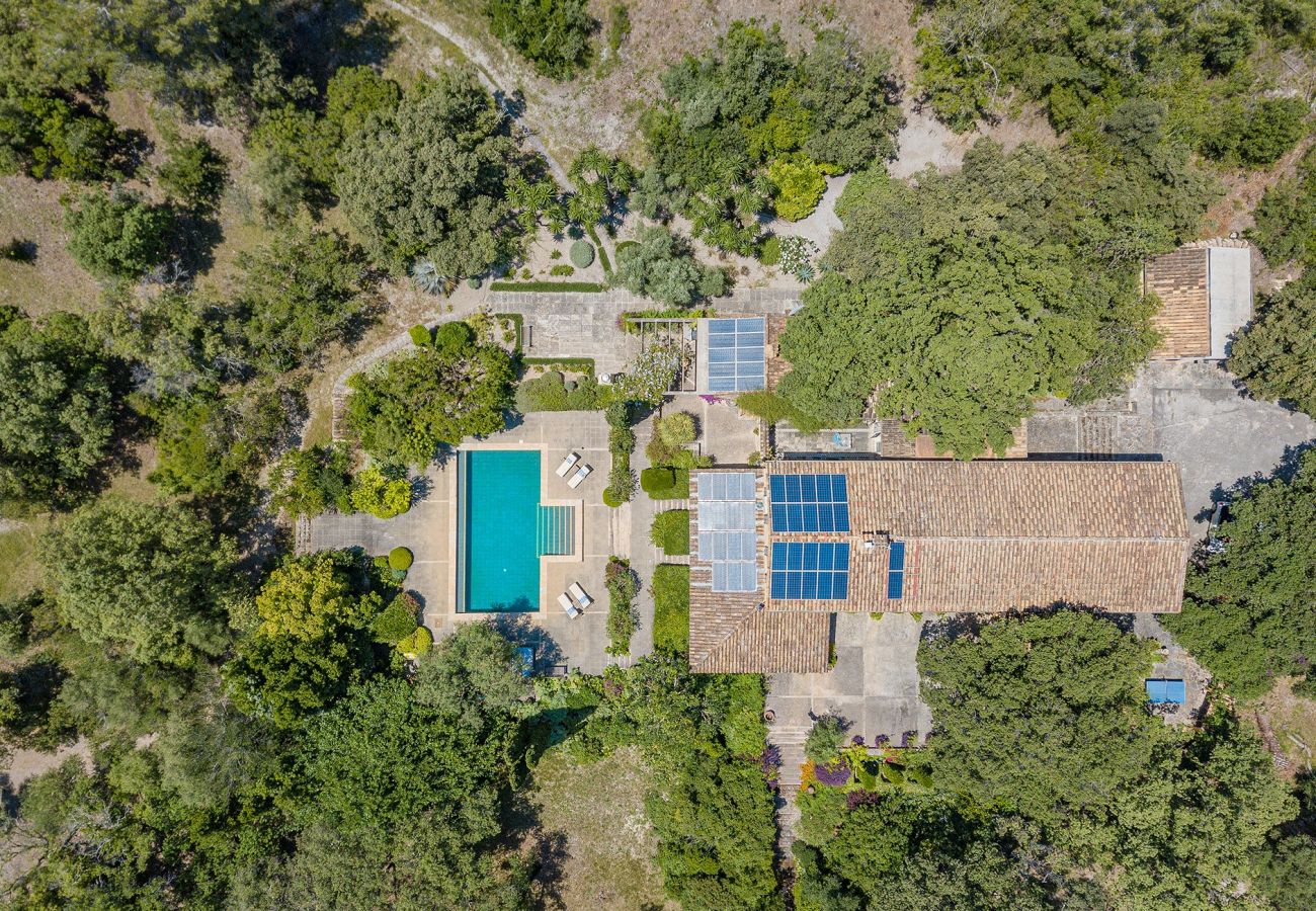 Villa in Pollensa - Finca Caro