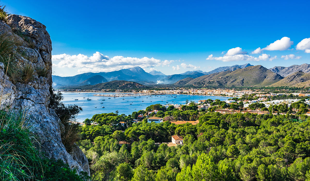 Discover the Charm of Alcudia Bay in Pollensa
