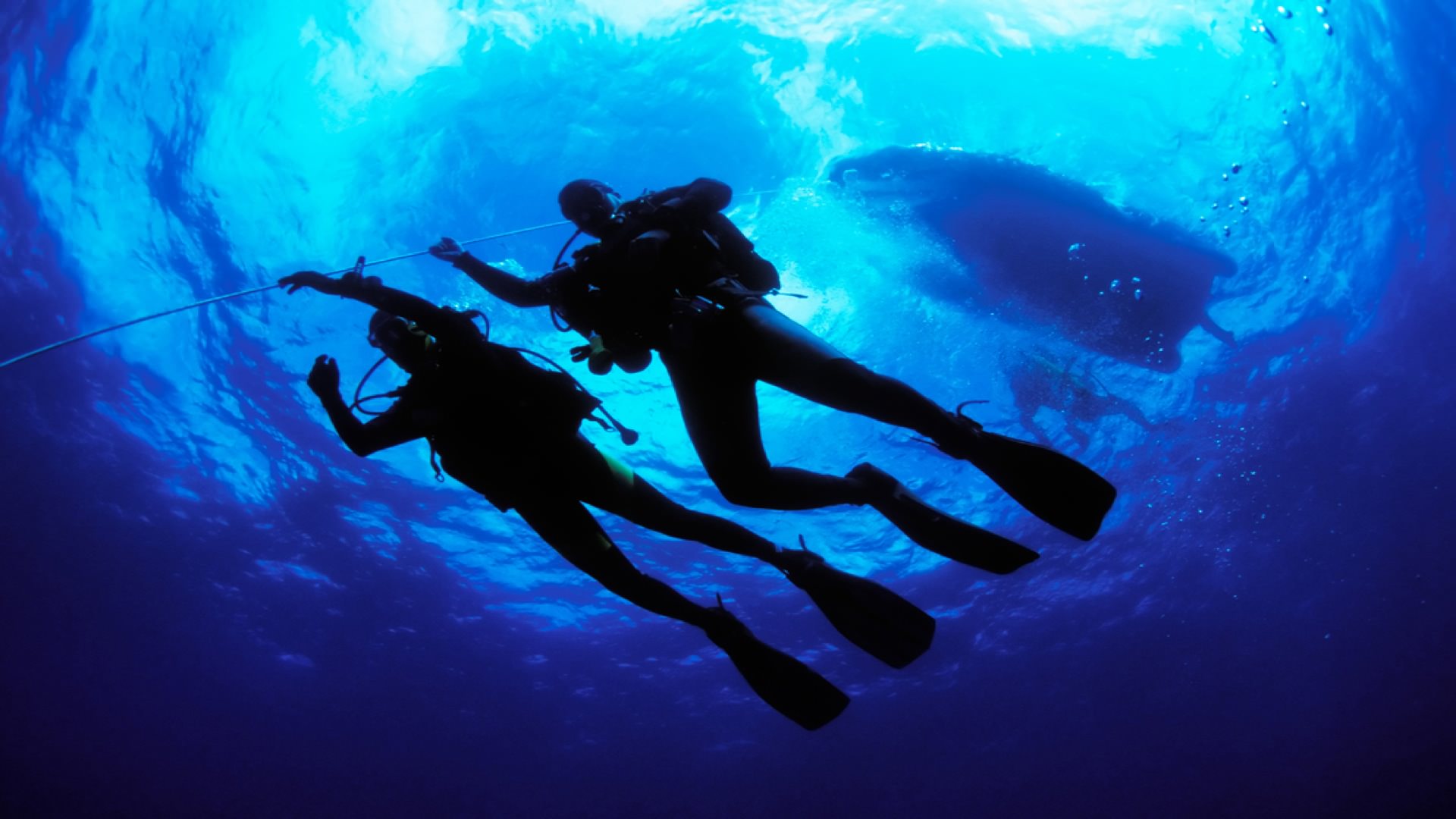 Scuba diving in mallorca