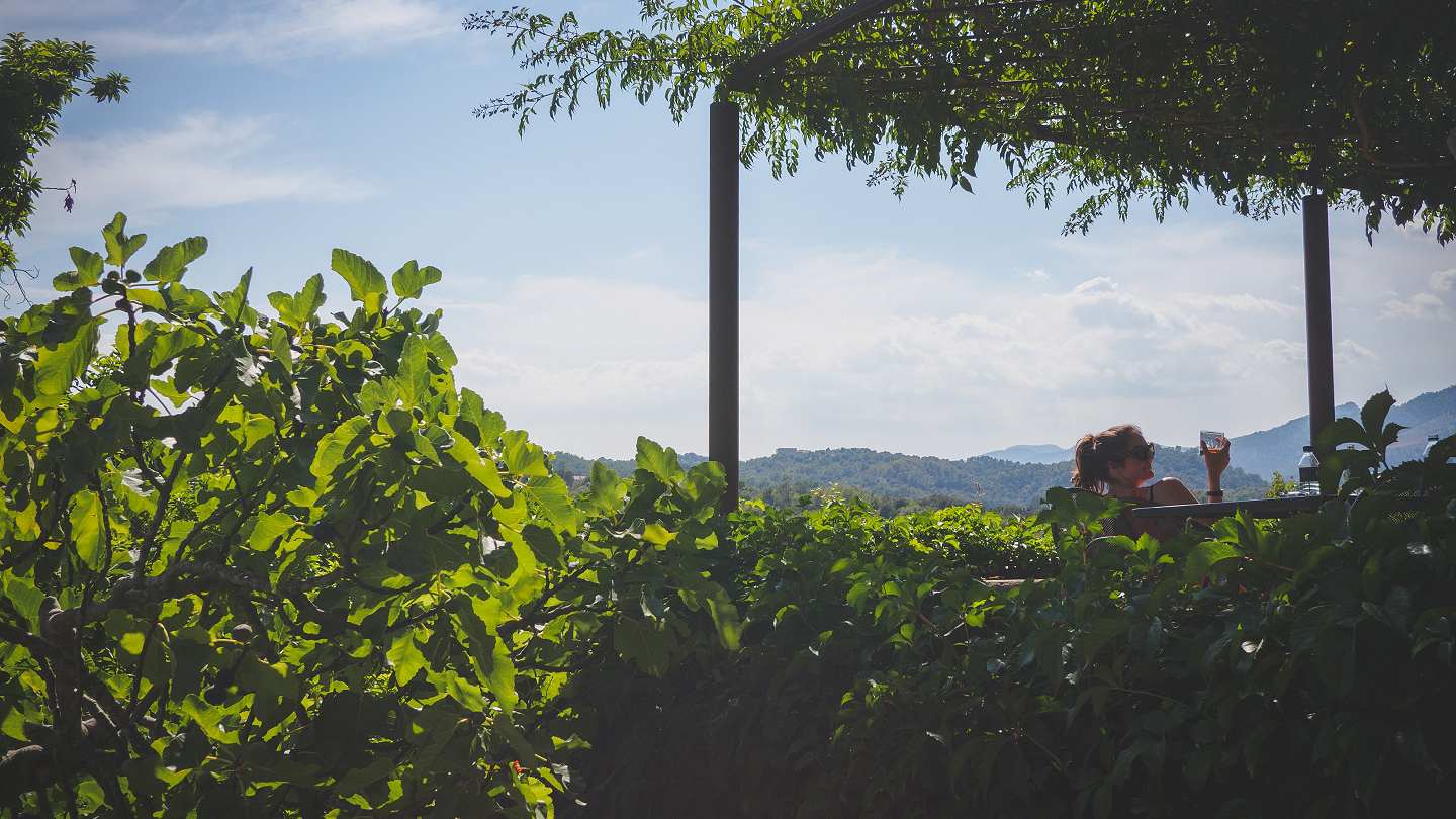 Holiday Villas in Campanet