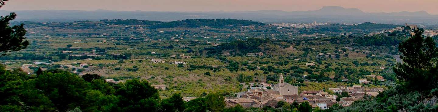 Holiday villas for rent in Inca, Mallorca