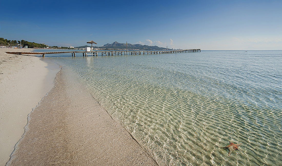 Beach alcudia mallorca